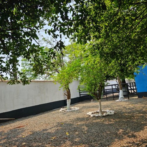 Imagem do WhatsApp de 2024-12-20 à(s) 19.38.46_a32131eb