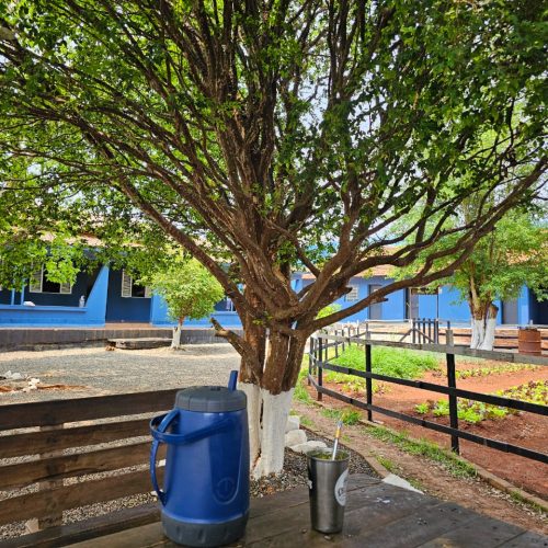 Imagem do WhatsApp de 2024-12-20 à(s) 19.38.46_bdf33bfa