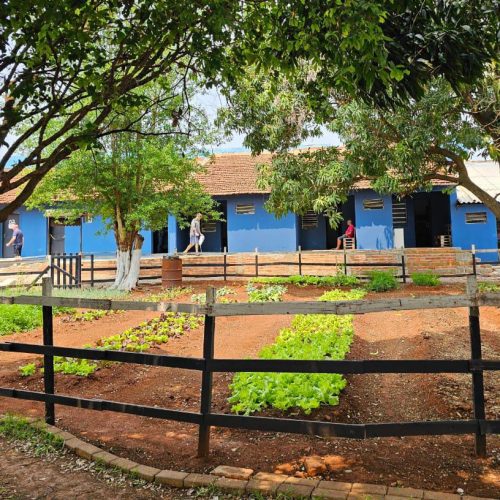 Imagem do WhatsApp de 2024-12-20 à(s) 19.38.47_bd45845a